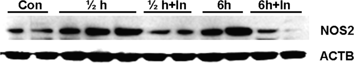 FIG. 7.