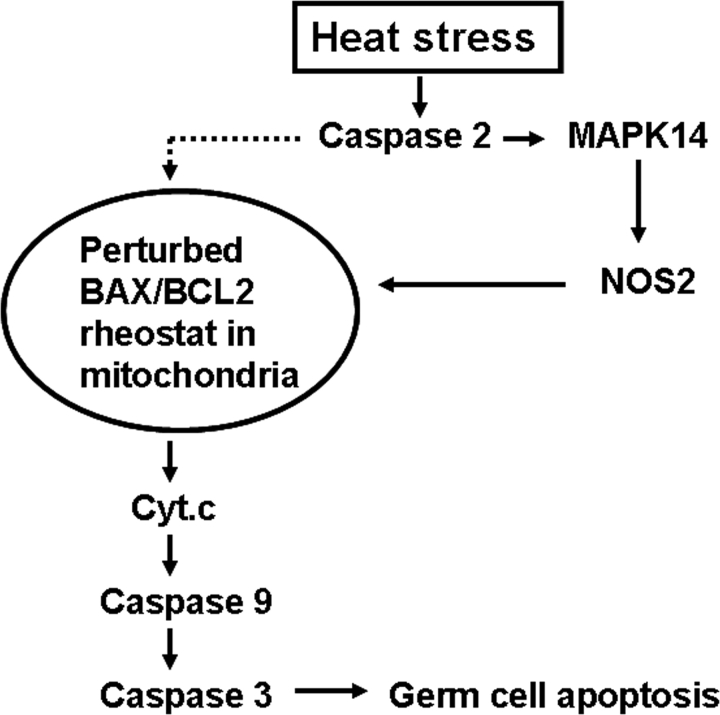 FIG. 8.