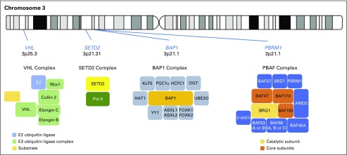 Fig 1.