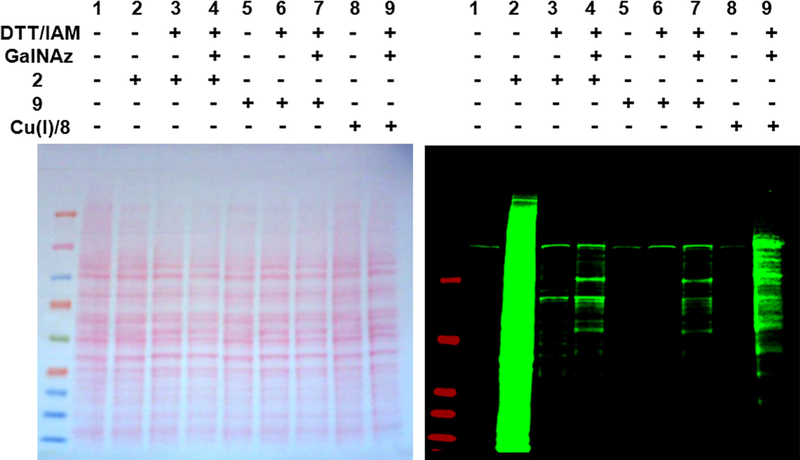 Figure 9.