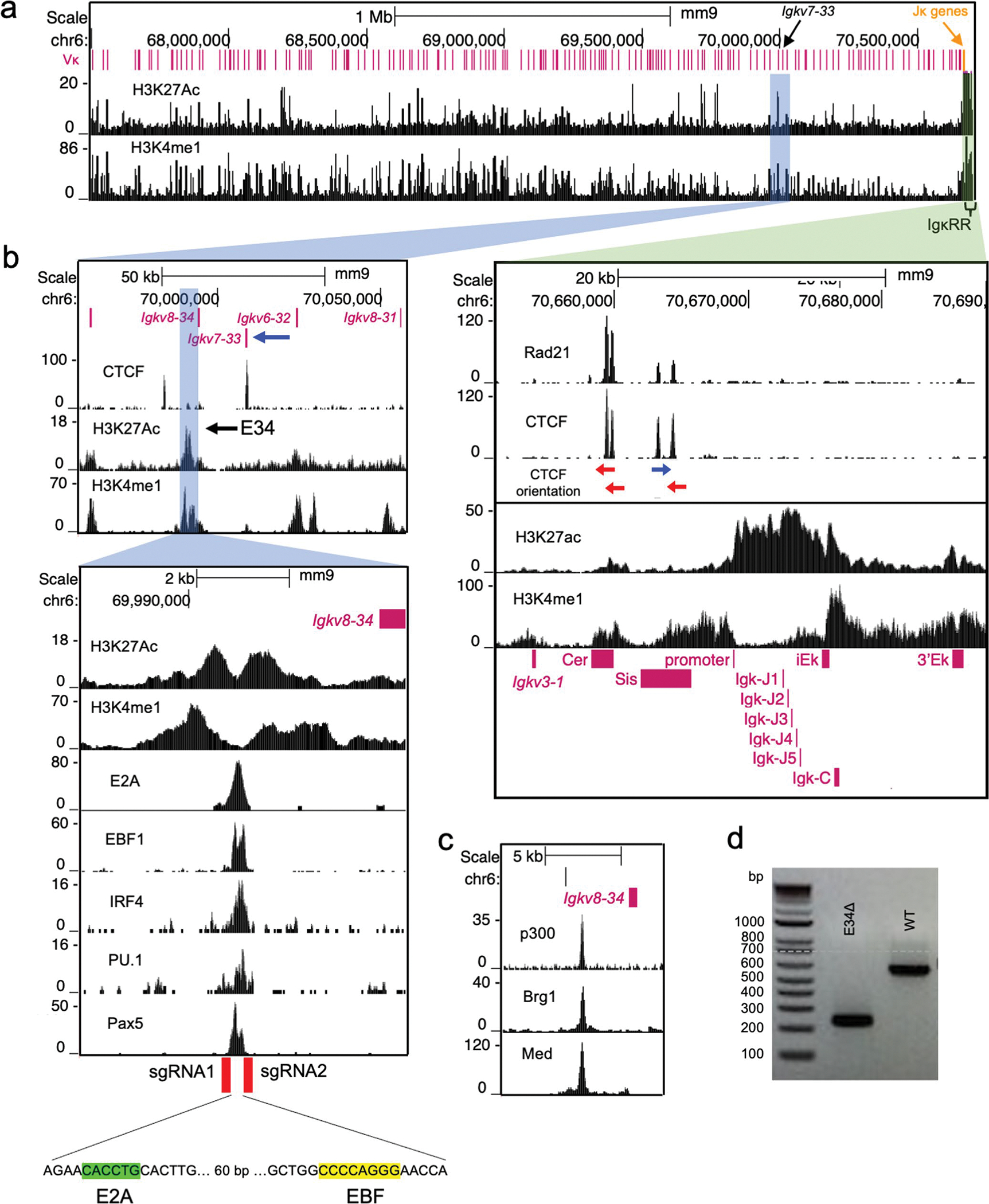 Extended Data Fig. 1 |