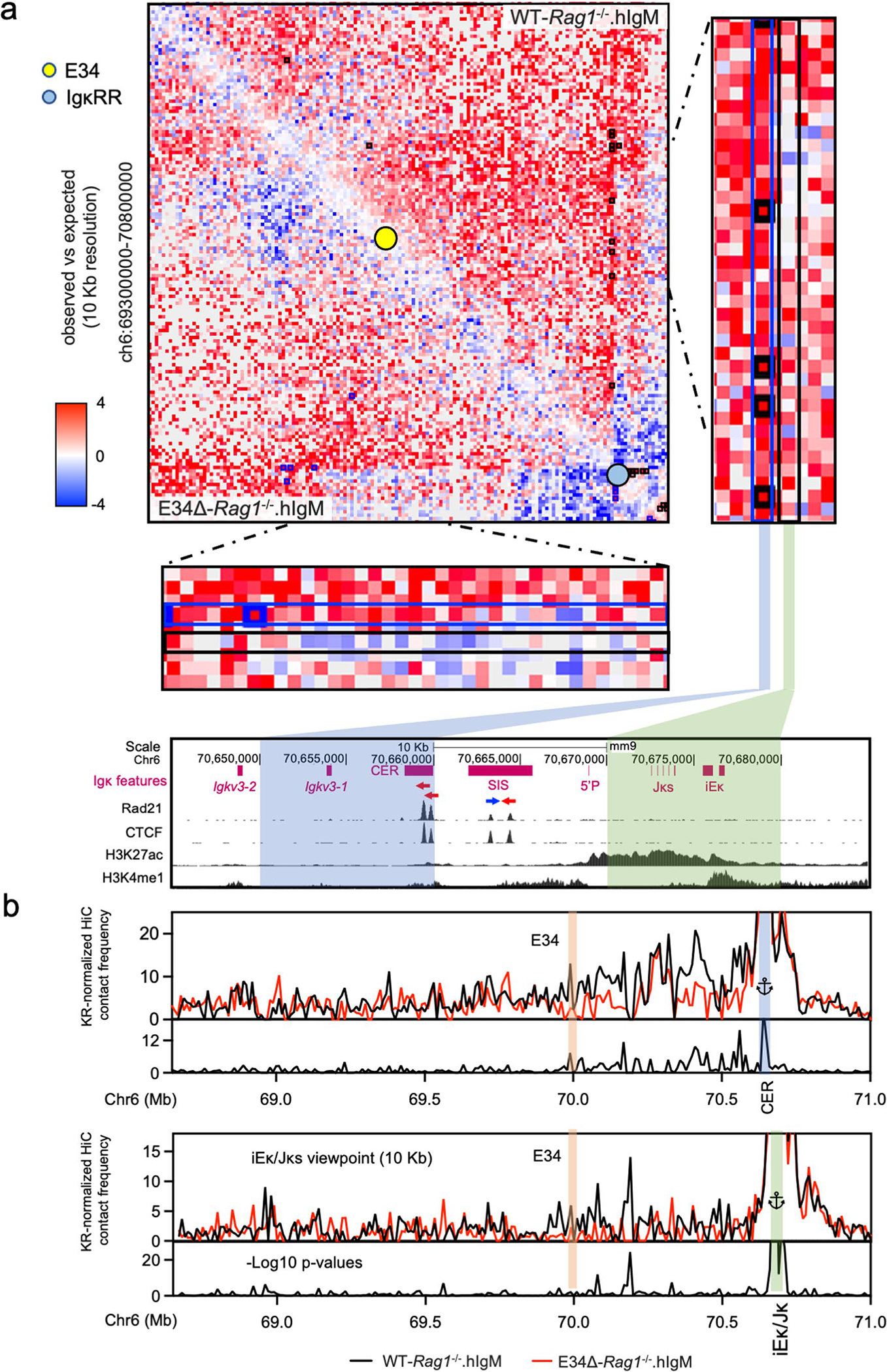 Extended Data Fig. 5 |