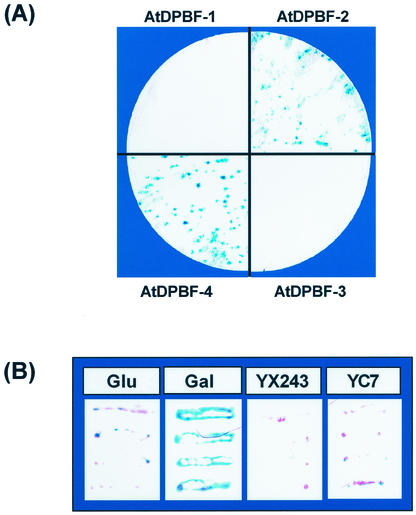 Figure 5