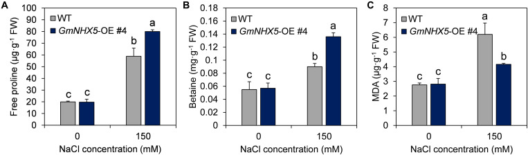 FIGURE 6