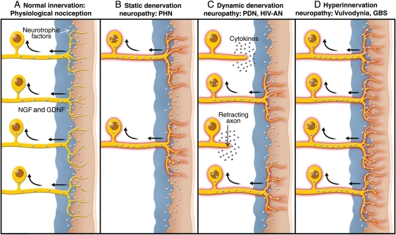 Fig 6