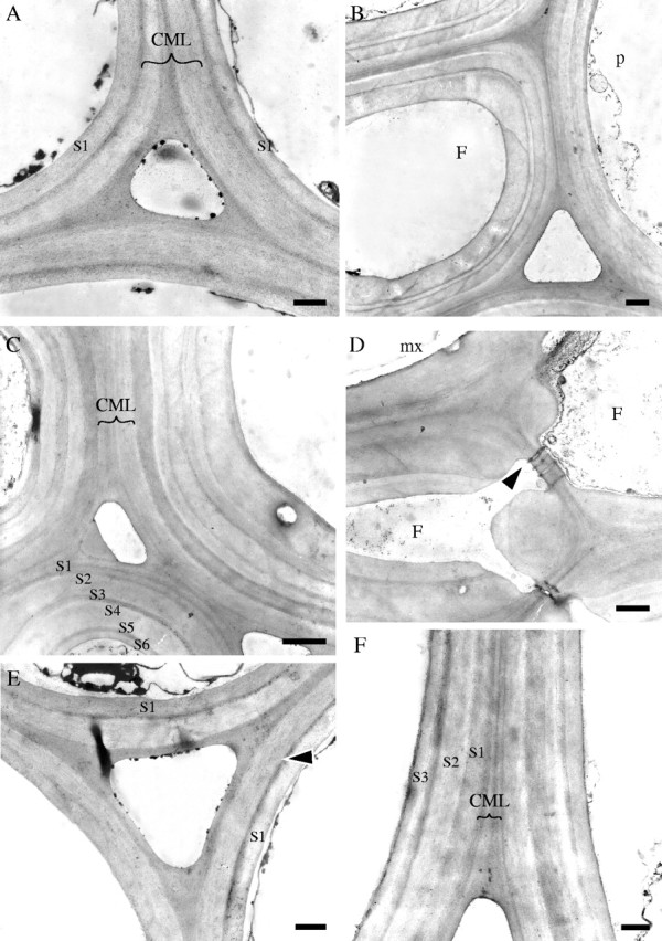 Fig. 5.