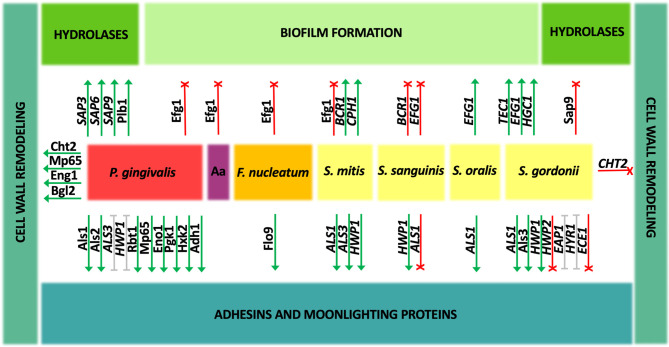 Figure 2