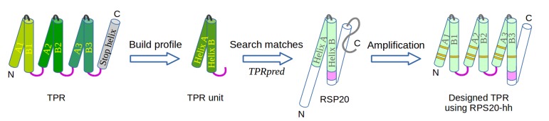 Figure 3.