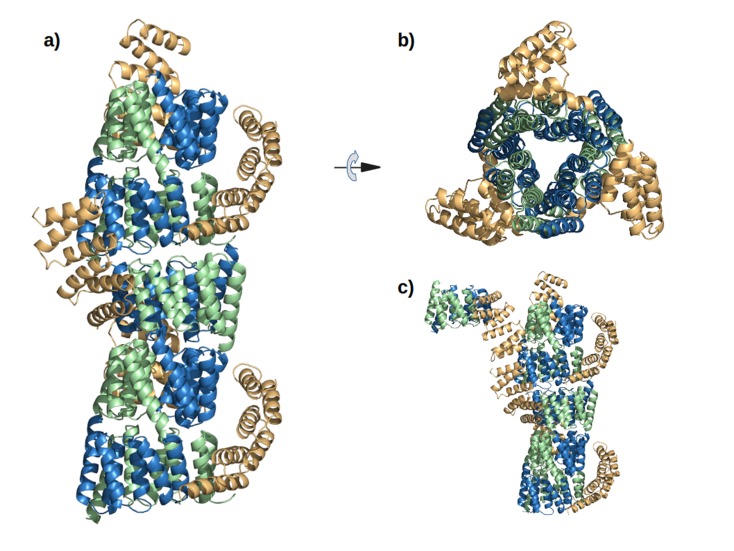 Figure 5—figure supplement 1.