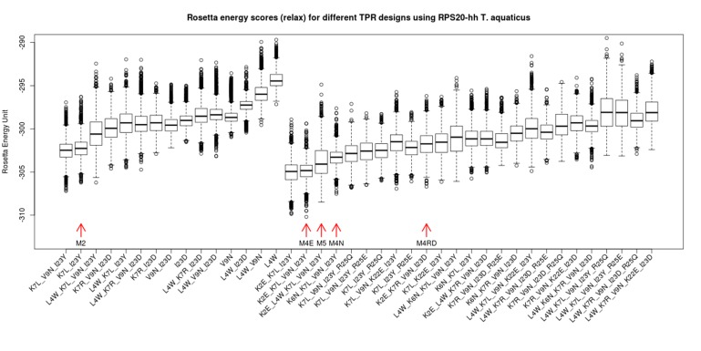 Figure 4—figure supplement 2.