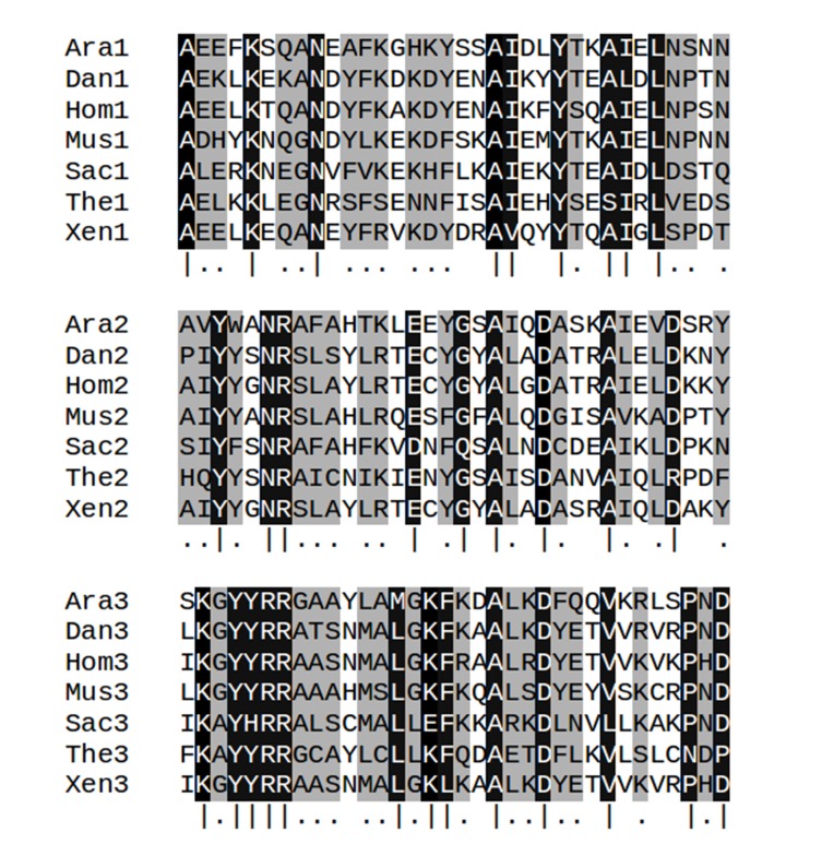 Figure 1—figure supplement 2.