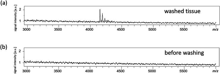 Fig. 2. Measurement of mouse muscle sections washed with organic solvents.