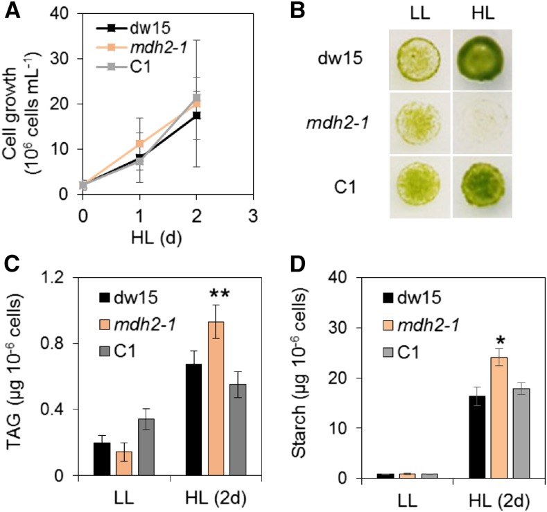 Figure 11.