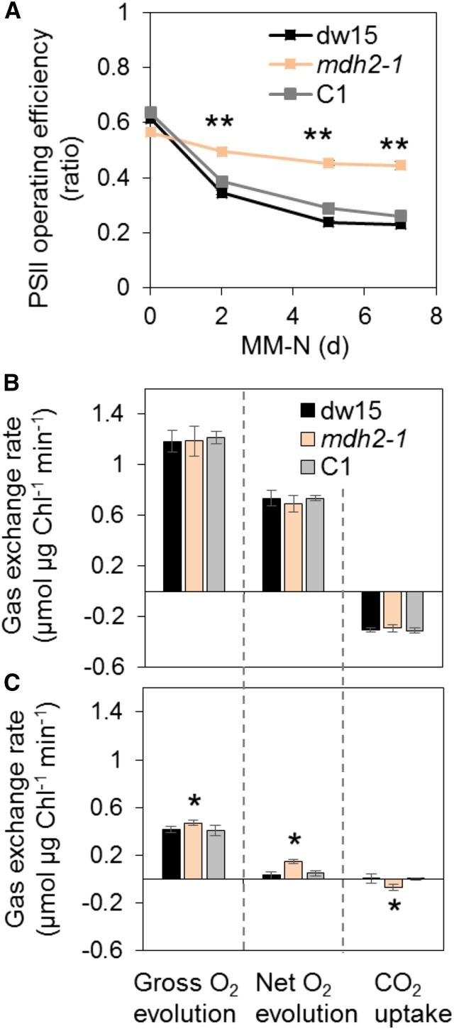 Figure 6.