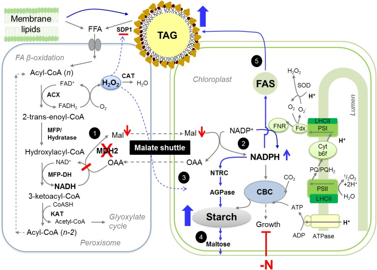 Figure 16.