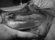 Figure 4)