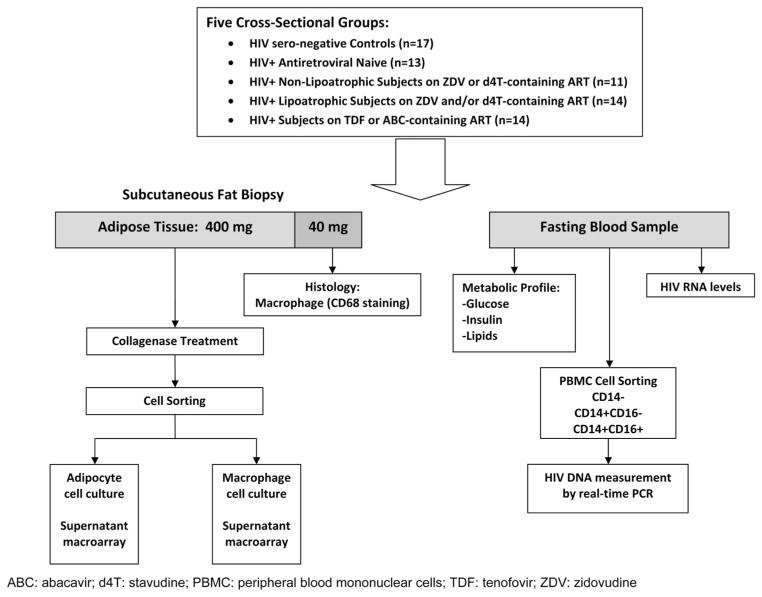 FIGURE 1