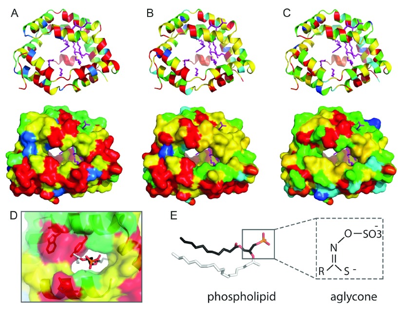 Figure 4. 