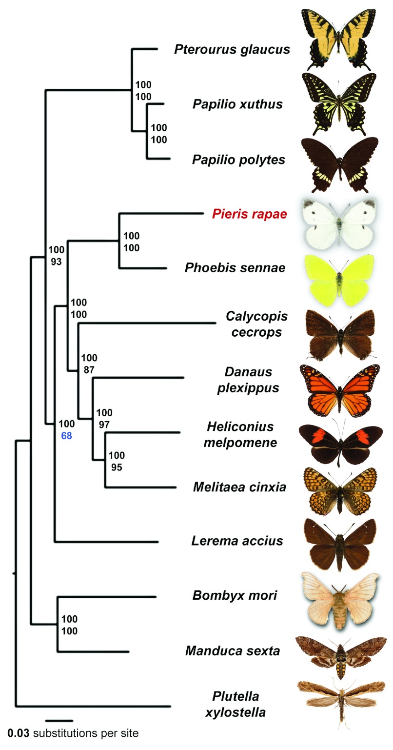 Figure 2. 