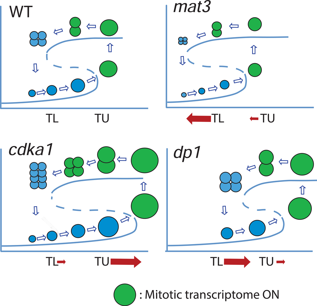 Figure 7.