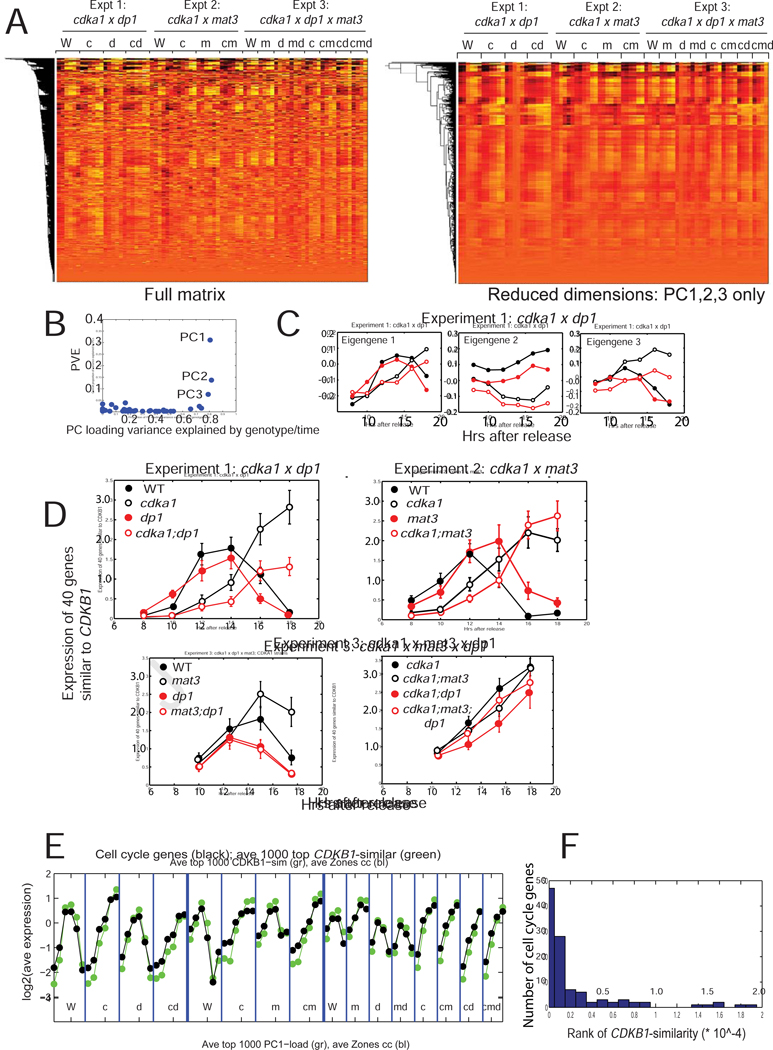 Figure 6.