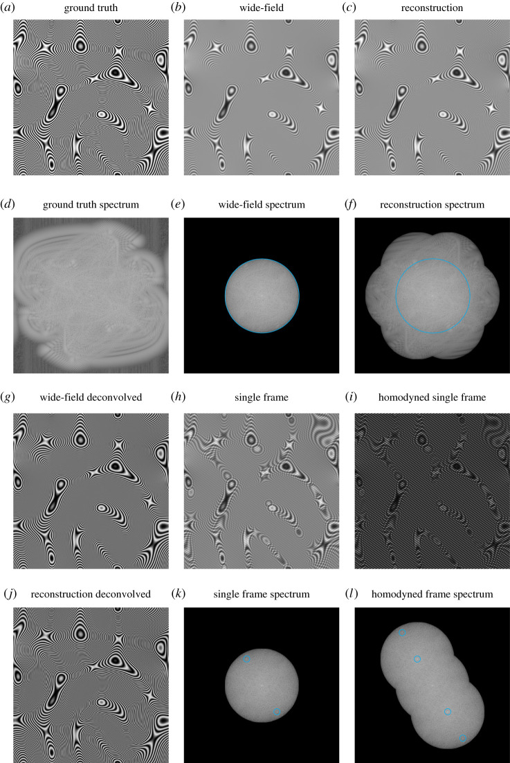 Figure 3. 