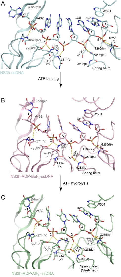 Fig. 5.