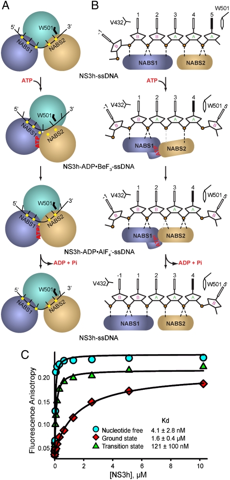 Fig. 6.