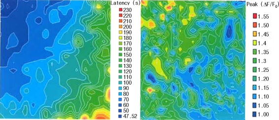 Fig. 3