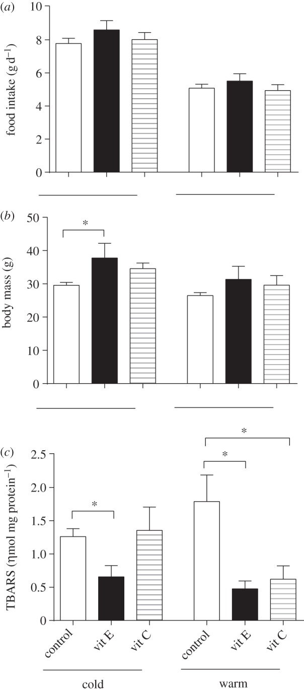 Figure 2.