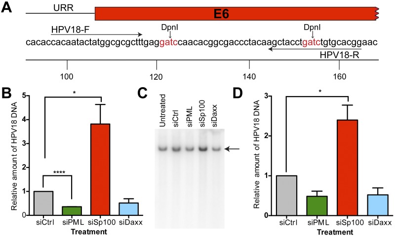 FIG 4 