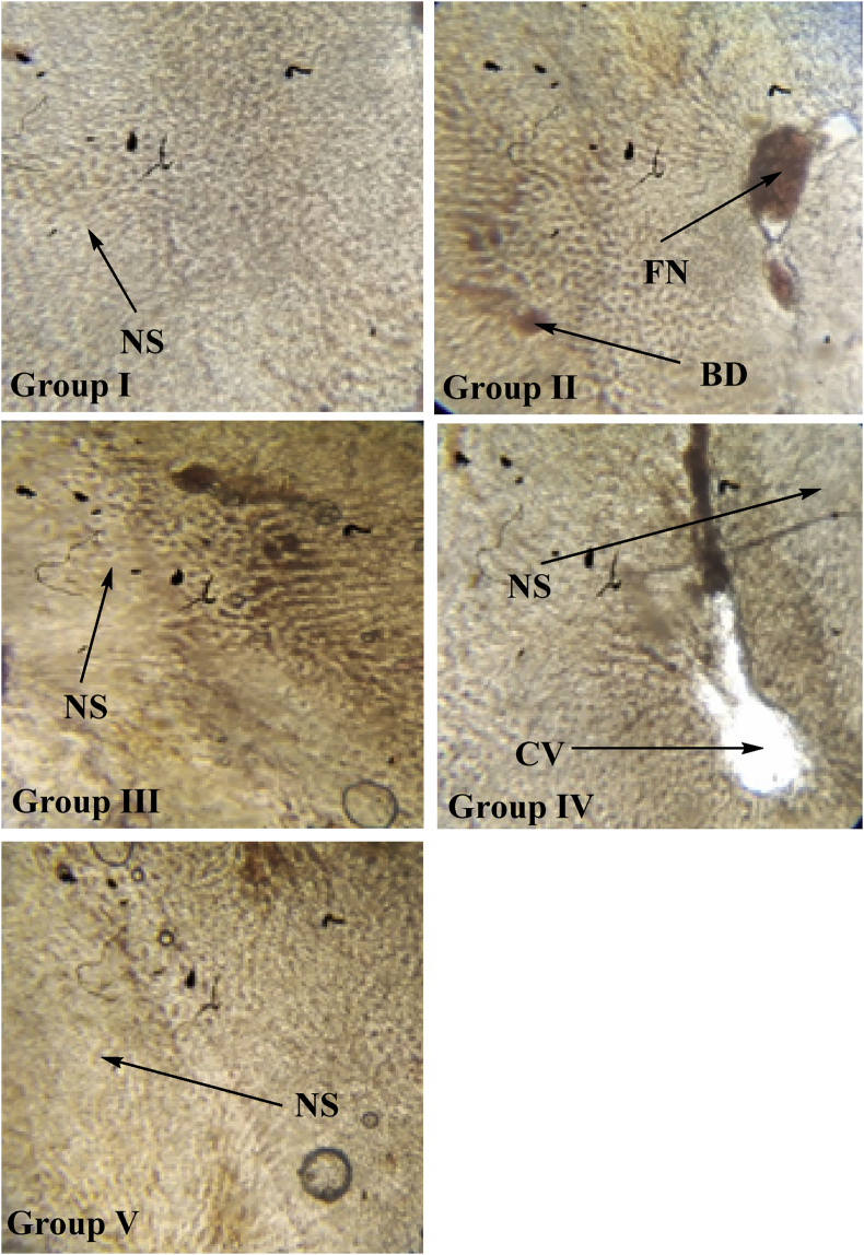 Figure 10