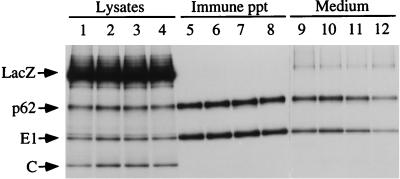 FIG. 6