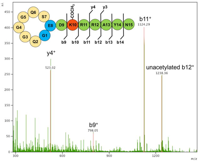 Fig 4