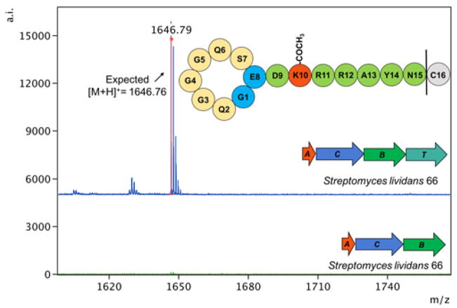 Fig. 3