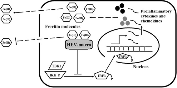 Fig. 7