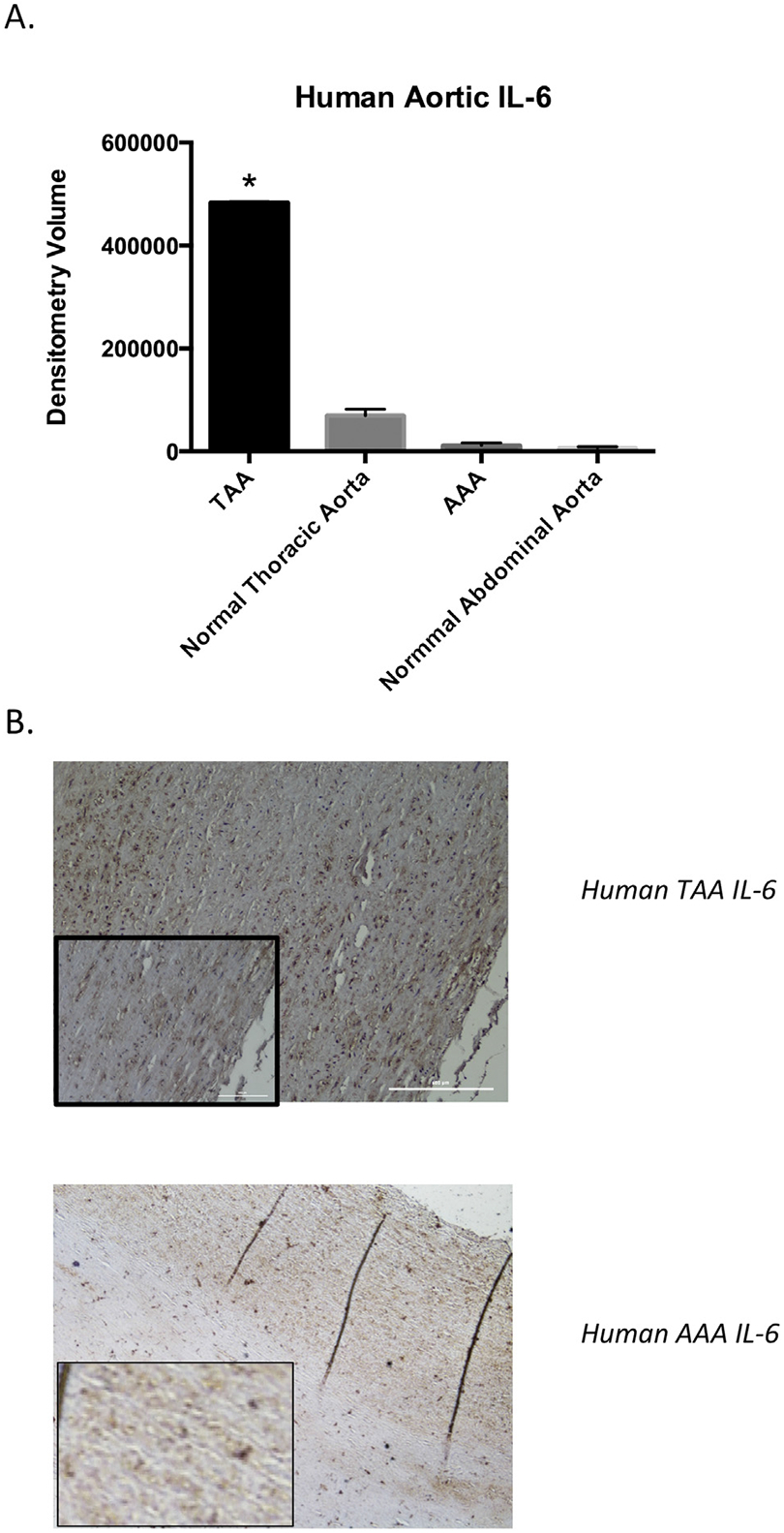 Fig 4.