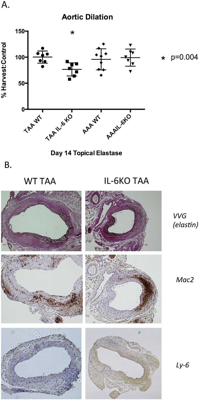 Fig 2.