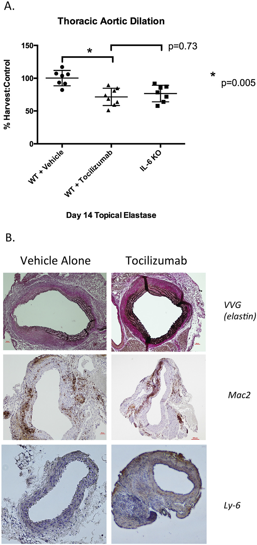 Fig 3.