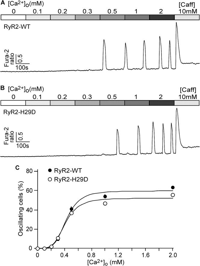 Fig 5