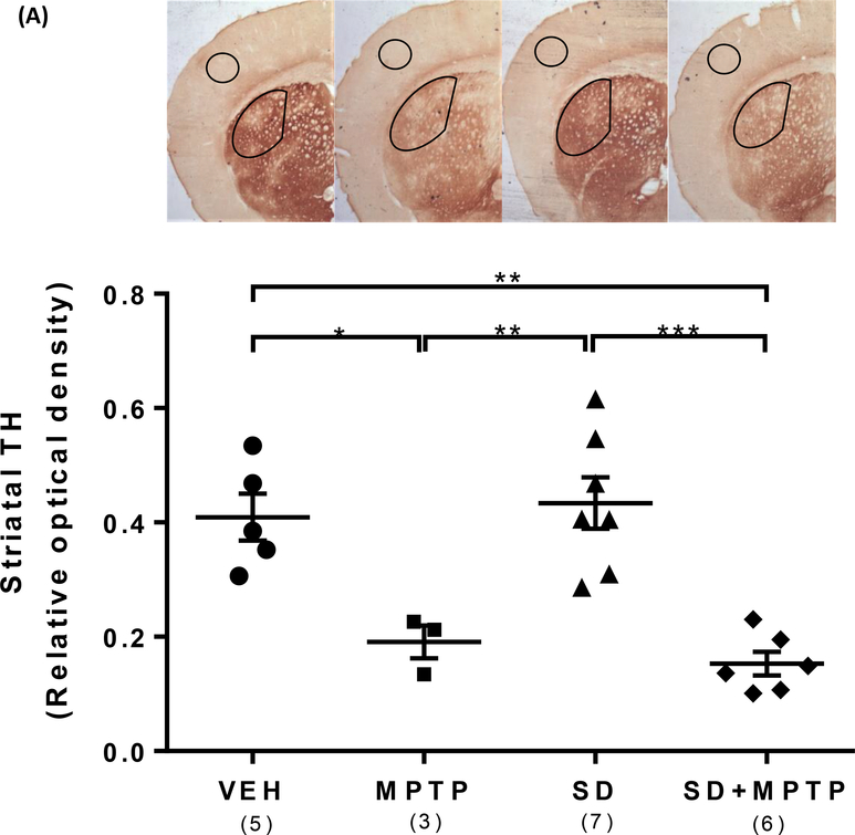 Fig. 2: