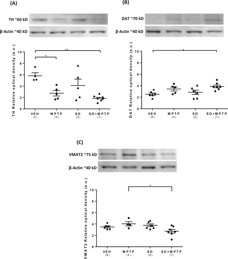 Fig. 4: