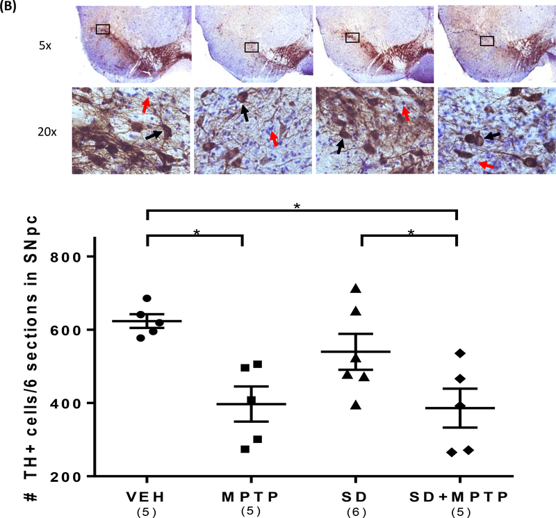 Fig. 2: