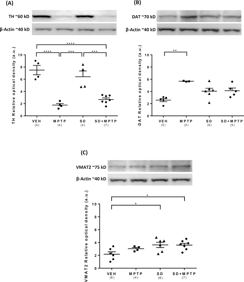 Fig. 3: