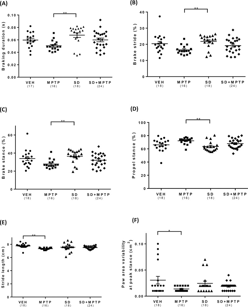 Fig. 6: