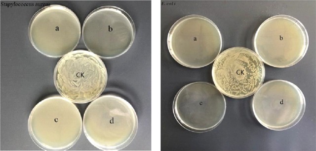 Figure 15