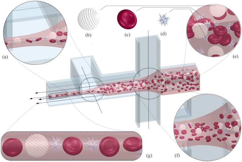 Fig. 2