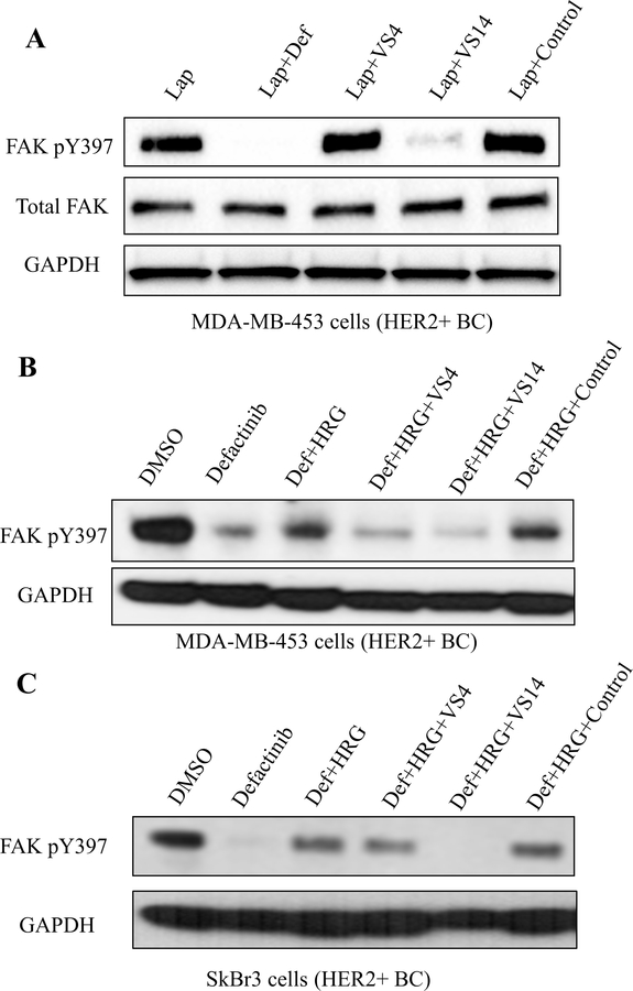 Figure 6: