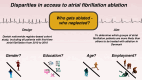 Graphical Abstract