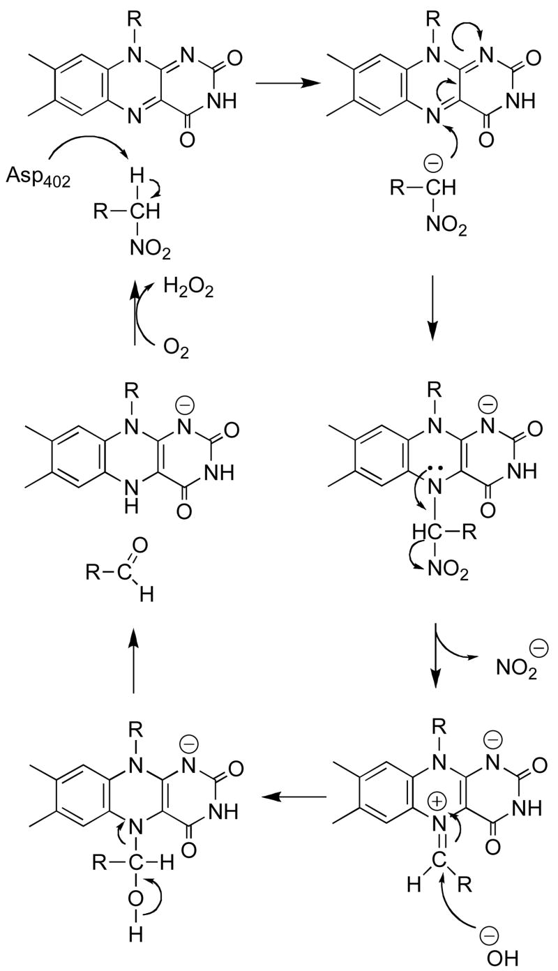 Scheme 2